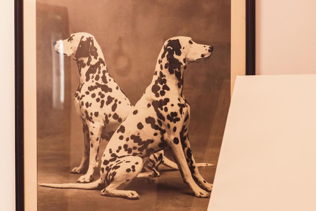 Art Studio Myslym Shyri Τίρανα Εξωτερικό φωτογραφία